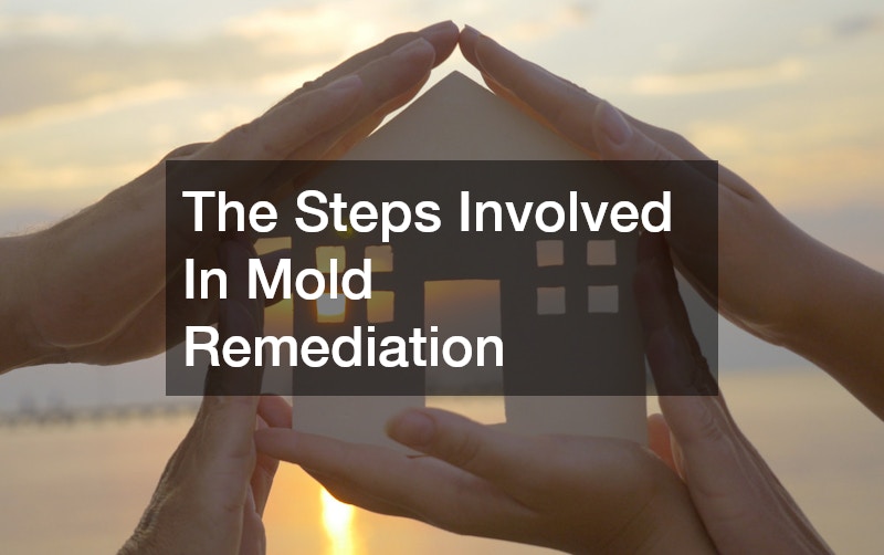 The Steps Involved In Mold Remediation