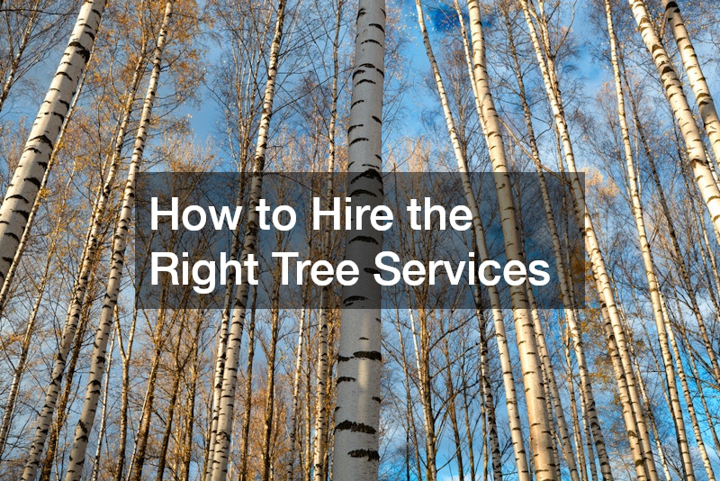 How to Hire the Right Tree Services